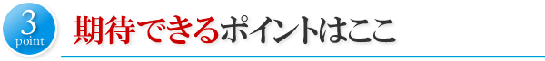 期待できるポイントはここ